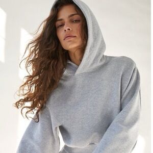 Aritzia The Constant Cropped Hoodie